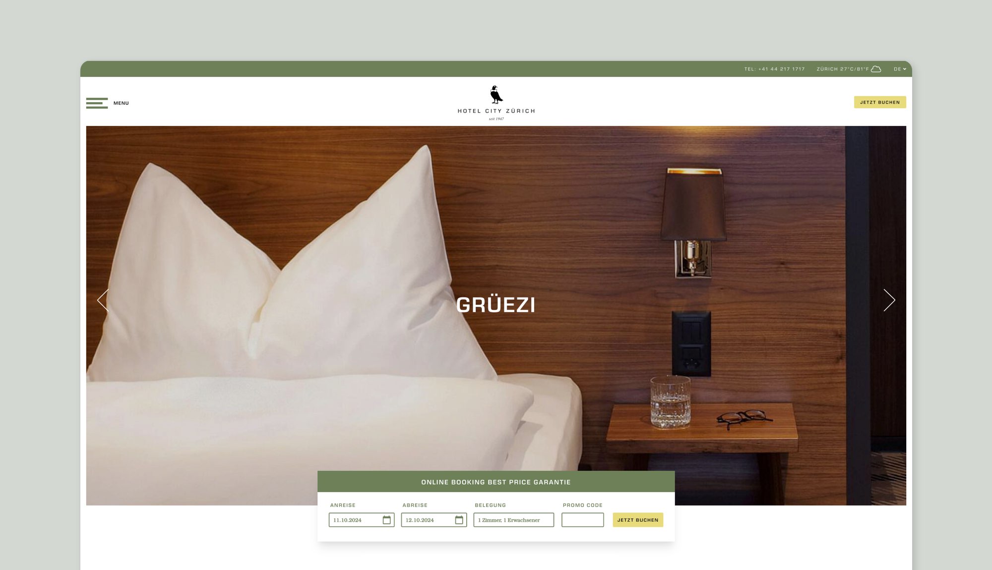 Hcz websit case study 2 new