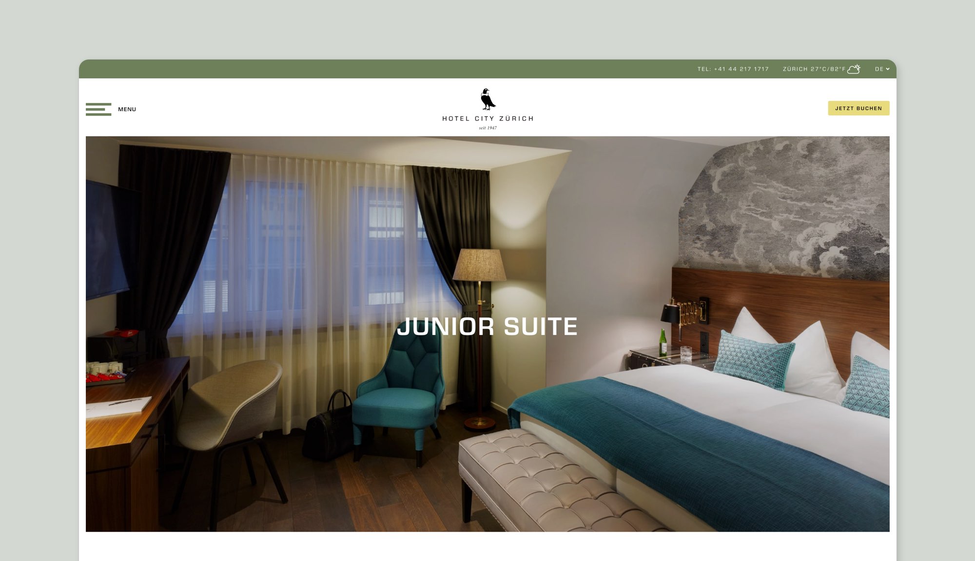 Hcz websit case study 3 new
