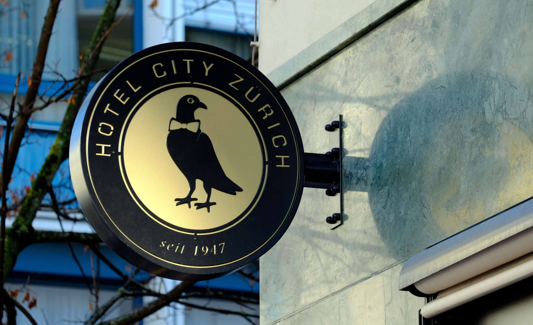 Hcz case study ci facade circle logo